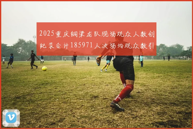 2025重庆铜梁龙队现场观众人数创纪录合计185971人次场均观众数引发热议
