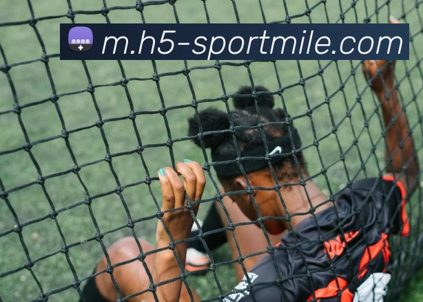 米乐体育平台生态图